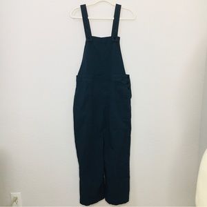 Patagonia Stand Up Cropped Overalls Women's Smolder Blue Size 8